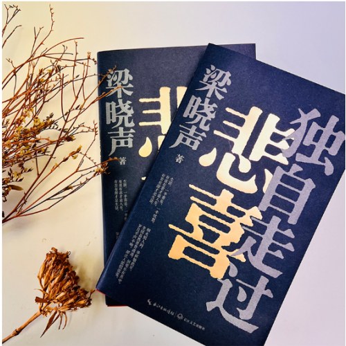 梁晓声新作《独自走过悲喜》