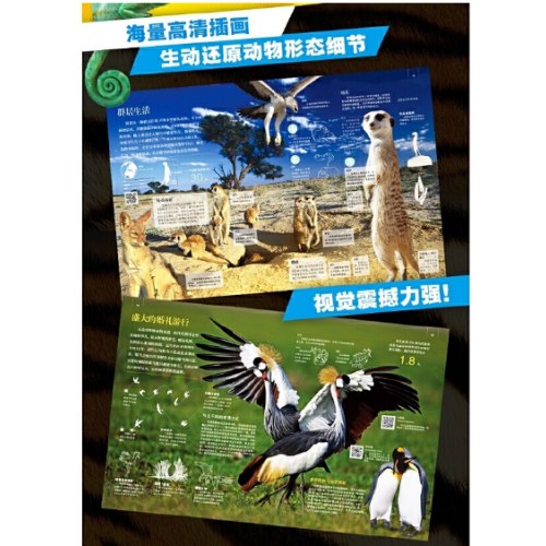 探索·发现 动物西班牙Sol90公司科普