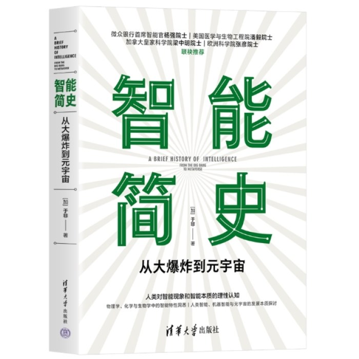智能简史——从大爆炸到元宇宙