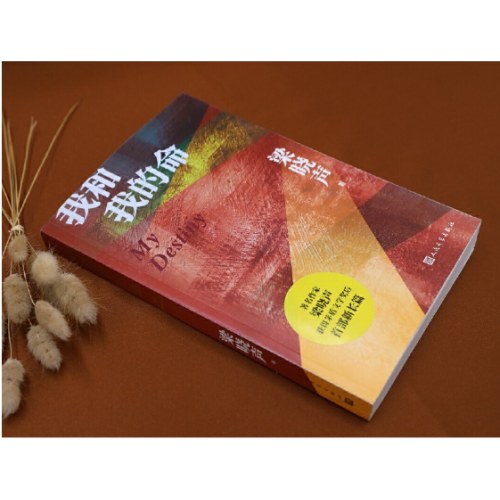 我和我的命（梁晓声新作，80后的《人世间》、女版雷佳音的亲情、爱情与奋斗）