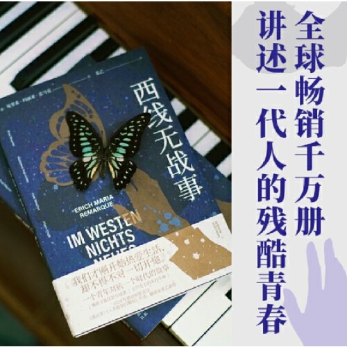 西线无战事（《悉达多》译者姜乙译作，2023奥斯卡获奖影片原著）