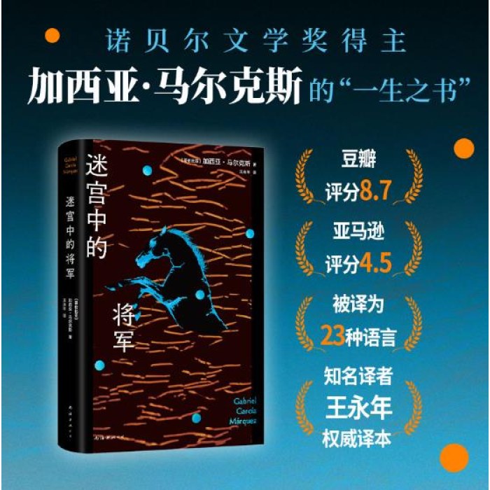 迷宫中的将军