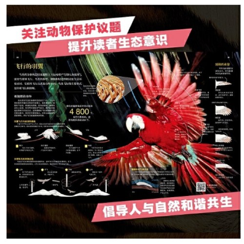 探索·发现 动物西班牙Sol90公司科普