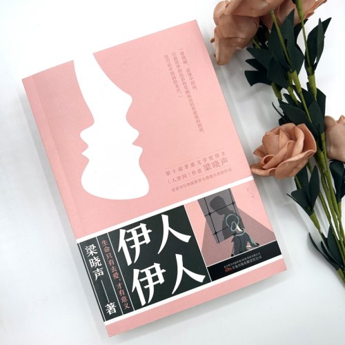 伊人伊人-梁晓声