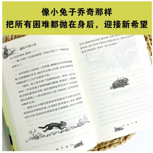 国际大奖小说--兔子坡