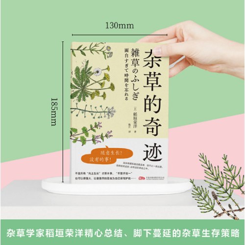 杂草的奇迹