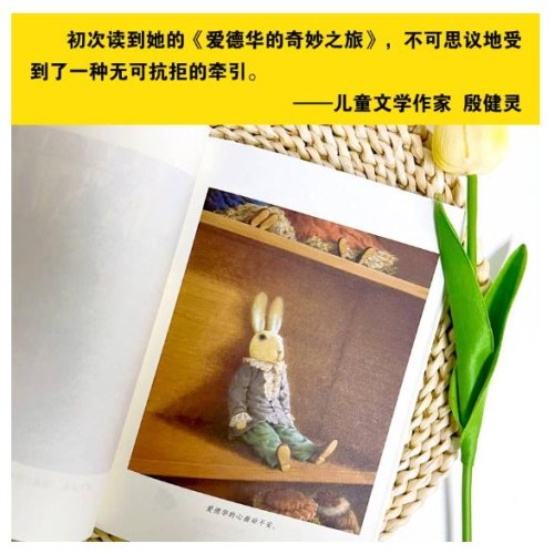 国际大奖小说——爱德华的奇妙之旅