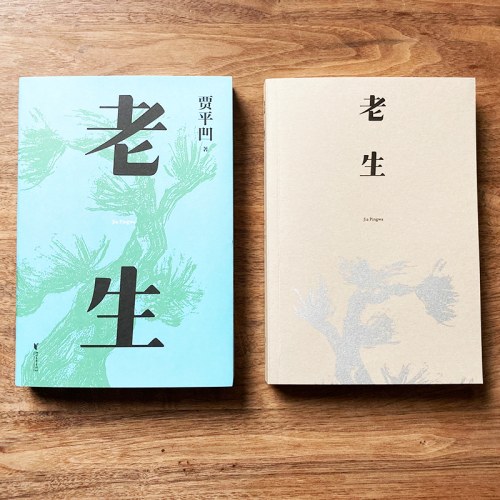 老生（插图修订版。贾平凹版百年孤独，时刻提醒着，人过的日子，必是一日遇佛一日遇魔）
