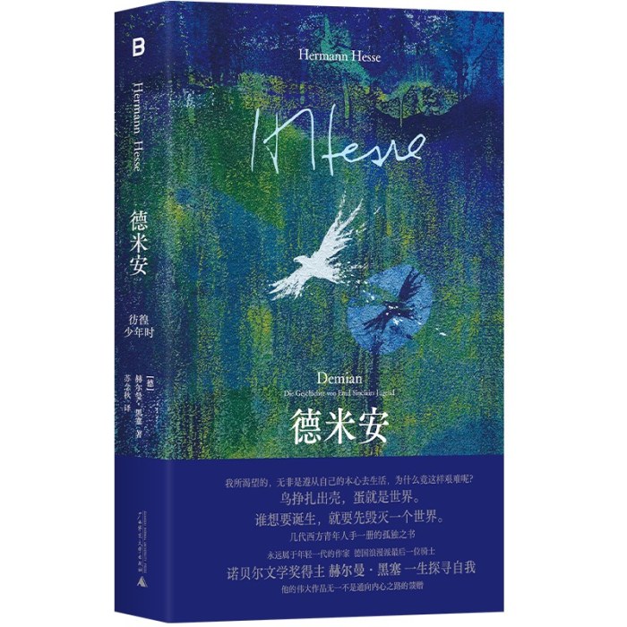 德米安：彷徨少年时