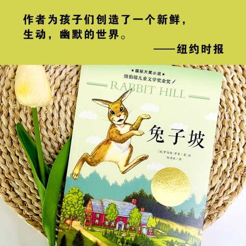 兔子坡