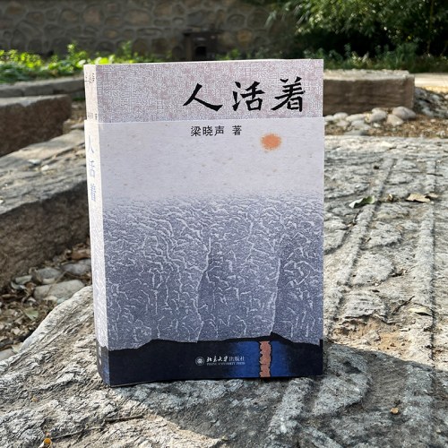 人活着-梁晓声