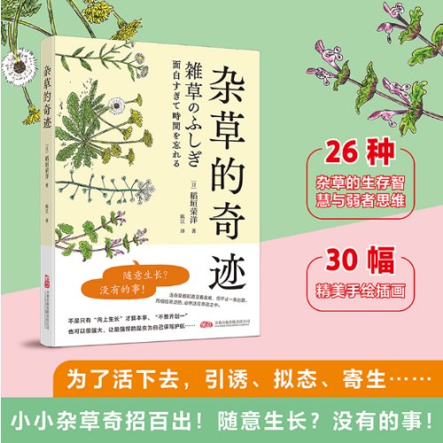 杂草的奇迹