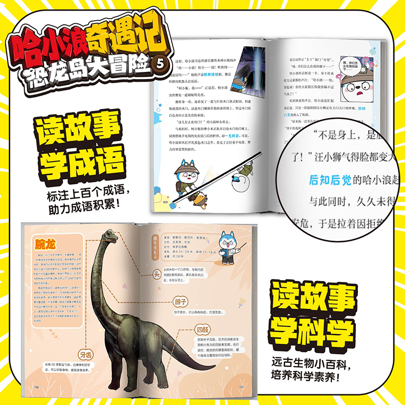 哈小浪奇遇记恐龙岛大冒险5