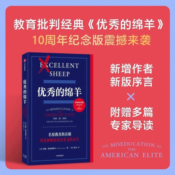 优秀的绵羊