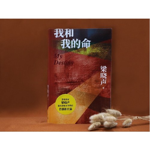 我和我的命（梁晓声新作，80后的《人世间》、女版雷佳音的亲情、爱情与奋斗）