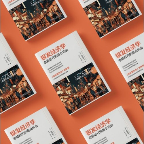 银发经济学：老龄时代的商业机会