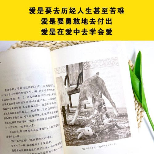 爱德华的奇妙之旅