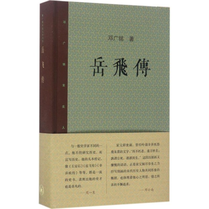 岳飞传（新版）