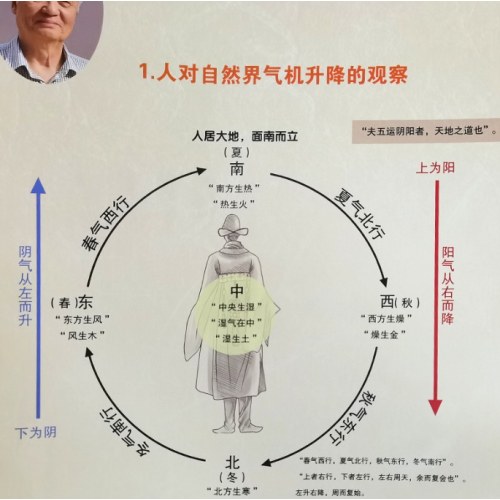 刘保和中医学术体系图解挂图 共三张