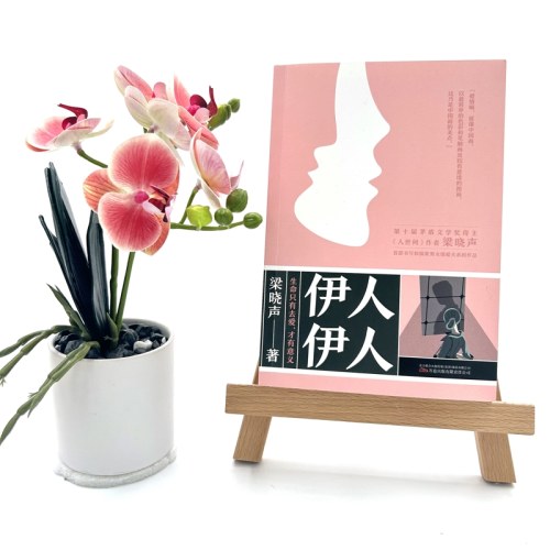 伊人伊人-梁晓声