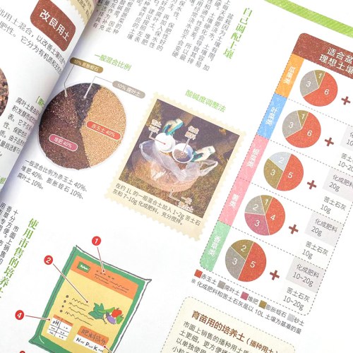 盆栽小菜园 常见蔬菜水果盆栽种植指南