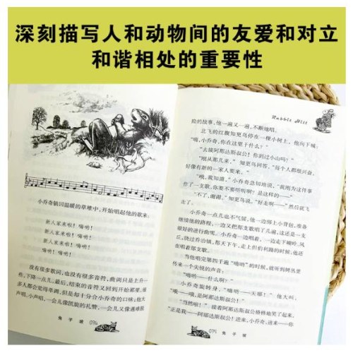 国际大奖小说--兔子坡