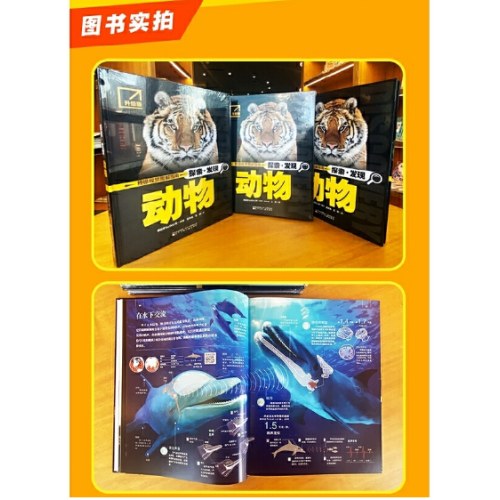 探索·发现 动物西班牙Sol90公司科普