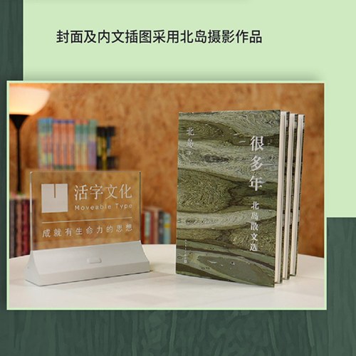 很多年 北岛散文选