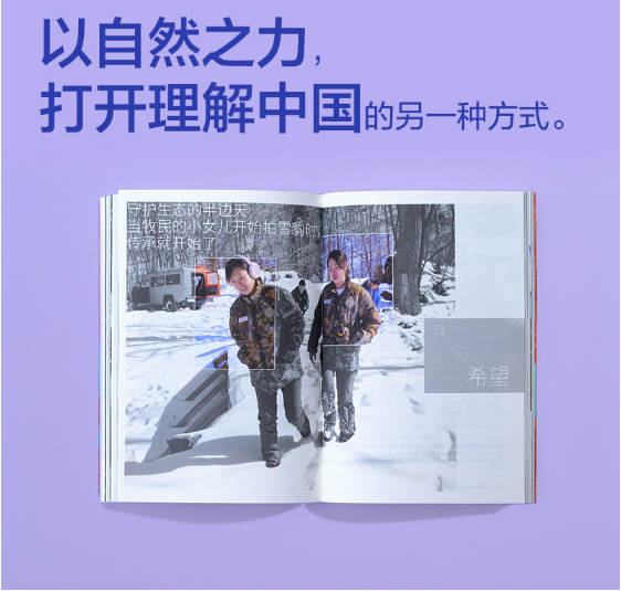 我不能在鸟兽身旁只是悲伤