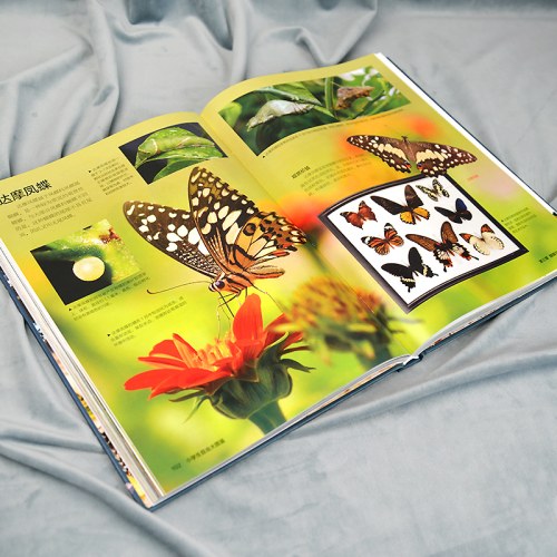 小学生昆虫大图鉴