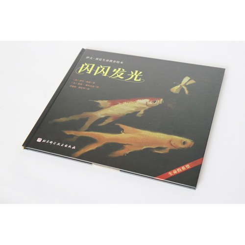 闪闪发光