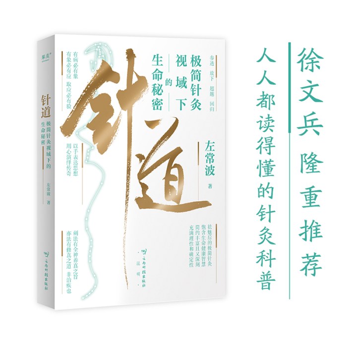 针道：极简针灸视域下的生命秘密