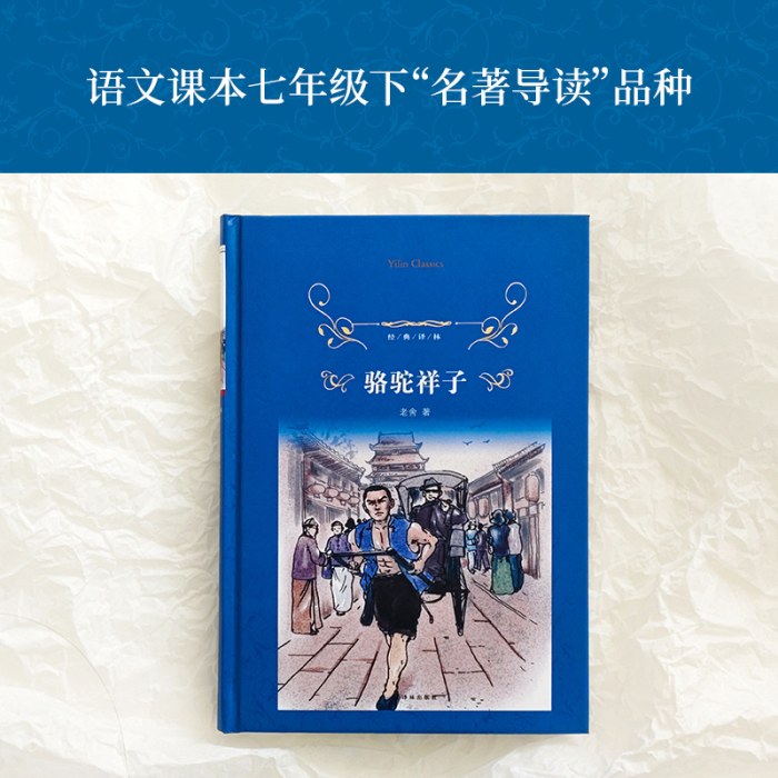 经典译林：骆驼祥子