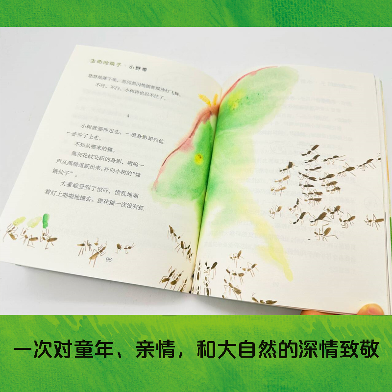 生命的院子·小野兽