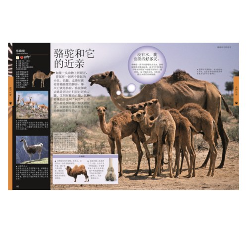 DK儿童动物百科全书