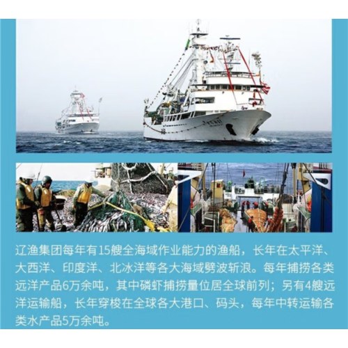 远洋 辽渔水浸金枪鱼罐头185g*6罐 低脂 健身代餐沙拉 三明冶夹心食材