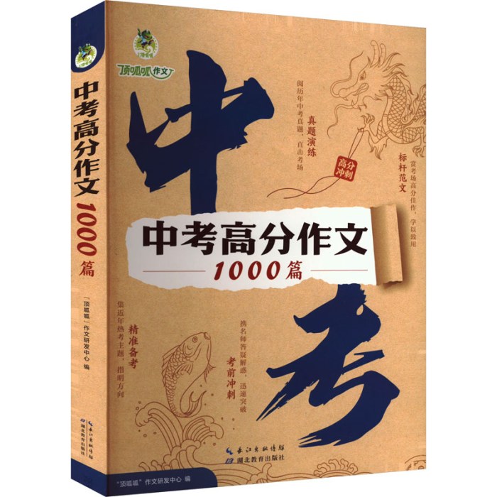 中考高分作文1000篇