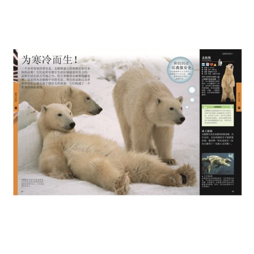 DK儿童动物百科全书