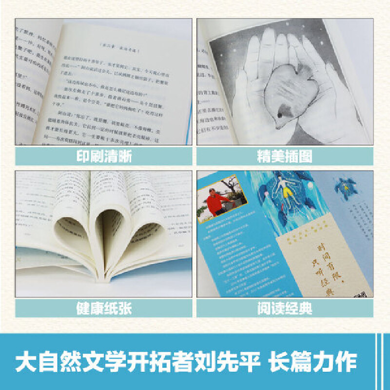 一个人的绿龟岛（朗读版）-新时代儿童文学获奖大系