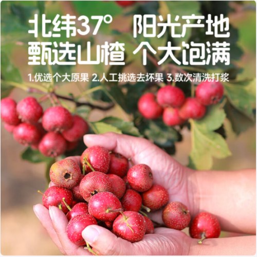 金晔玫瑰山楂条90g*5袋 儿童零食蜜饯果干
