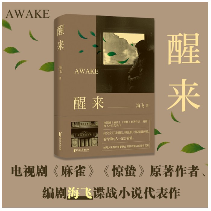 醒来（海飞作品，欧豪、古丽娜扎、江疏影主演电视剧原著小说）