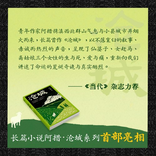 沧城