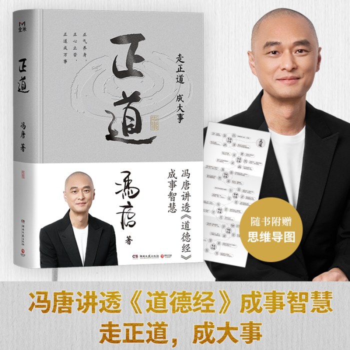 正道（走正道成大事！冯唐讲透《道德经》成事智慧，赠思维导图）
