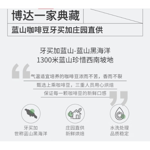 博达典藏牙买加蓝山咖啡豆 进口生豆新鲜烘焙纯黑咖啡豆 500克袋装