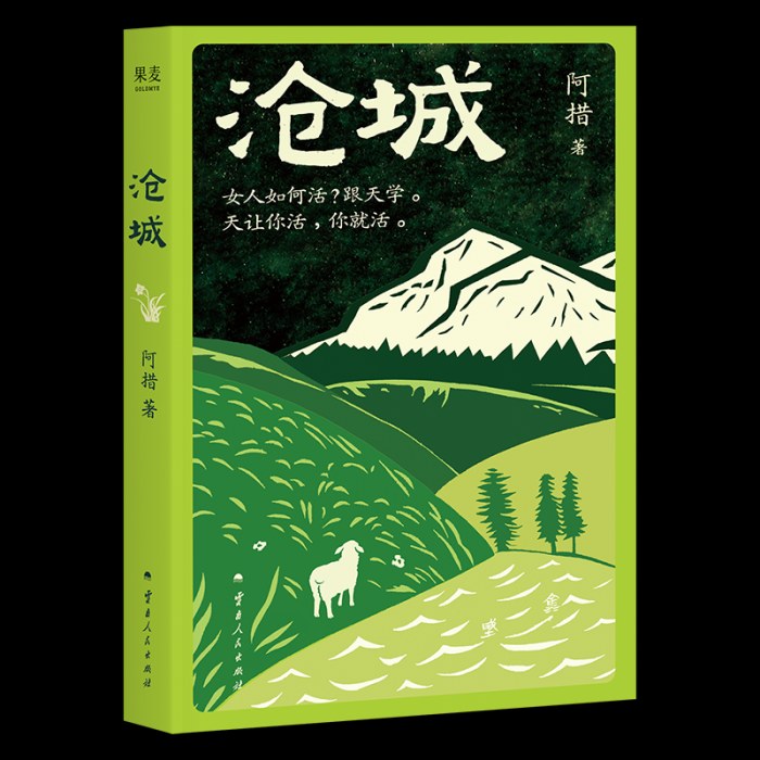 沧城