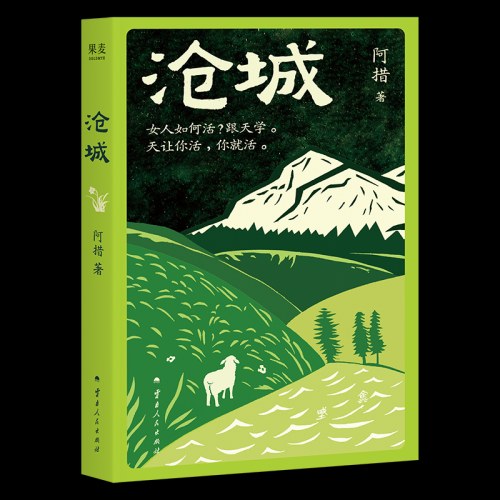 沧城