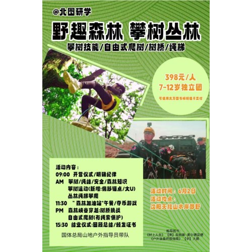 野趣森林攀树营