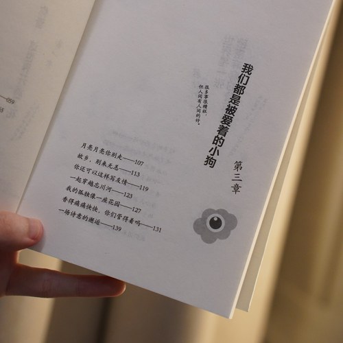 从窗台的花花到宇宙爆炸