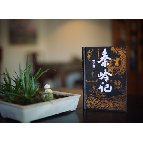 秦岭记