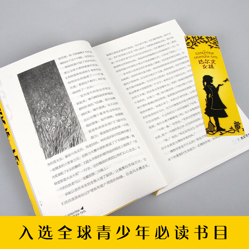长青藤国际大奖小说书系：达尔文女孩